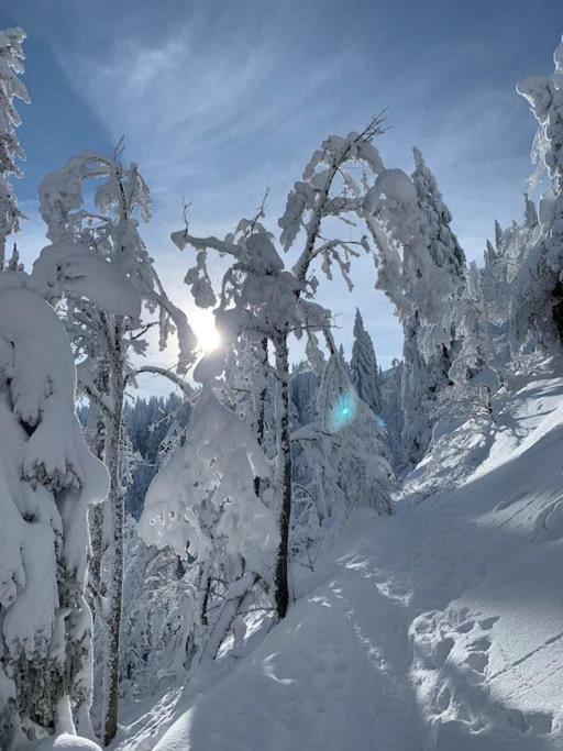 Stube9 Am Feldberg, Direkt An Der Skipiste, Ski In-Ski Out Feldberg  Zewnętrze zdjęcie