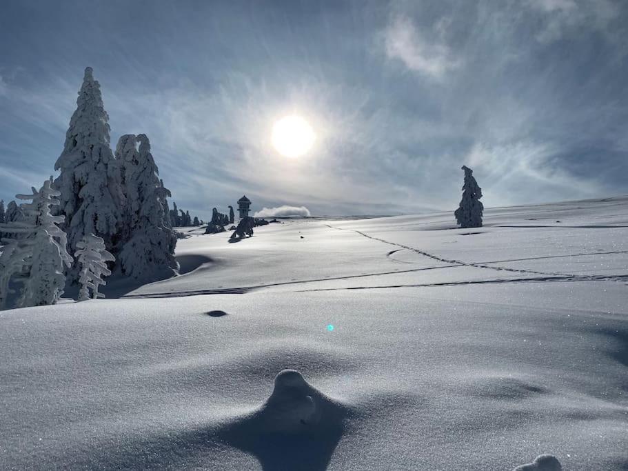 Stube9 Am Feldberg, Direkt An Der Skipiste, Ski In-Ski Out Feldberg  Zewnętrze zdjęcie